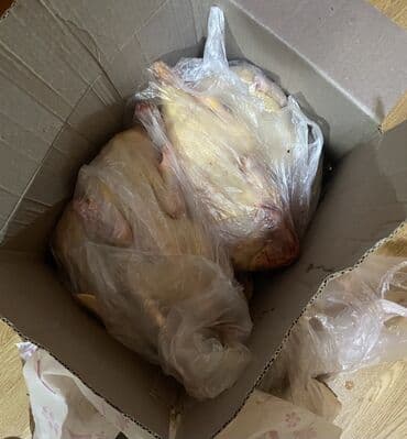 Məhsul: təmizləmiş ördekler dirde var kesilmişde temiz eti lalafo.az -da Məhsul: təmizləmiş ördekler dirde var kesilmişde temiz eti