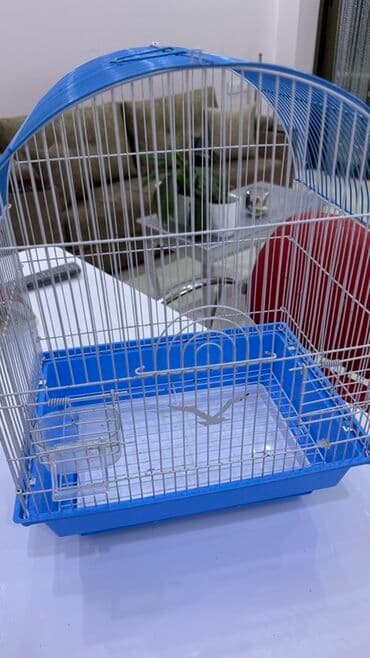 Quş qəfəsi – metal korpuslu, mavi plastik altlıqlı model - Şaquli ağ lalafo.az -da Quş qəfəsi – metal korpuslu, mavi plastik altlıqlı model - Şaquli ağ