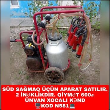 Tək bidon lalafo.az -da Tək bidon