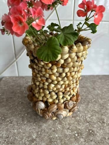 Dəniz qabıqları ilə bəzədilmiş dekorativ vaza/saksı qabı - Silindr lalafo.az -da Dəniz qabıqları ilə bəzədilmiş dekorativ vaza/saksı qabı - Silindr