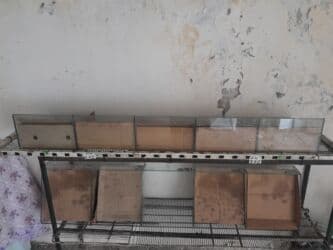 ПО для бизнеса: 30 * 1500 * 30, Б/у, Самовывоз at lalafo.az — 2 ПО для бизнеса: 30 * 1500 * 30, Б/у, Самовывоз — 2