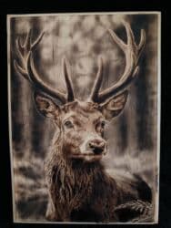 Yandırma texnikası ilə işlənmiş maral təsviri Tam əl işidir, hər lalafo.az -da Yandırma texnikası ilə işlənmiş maral təsviri Tam əl işidir, hər