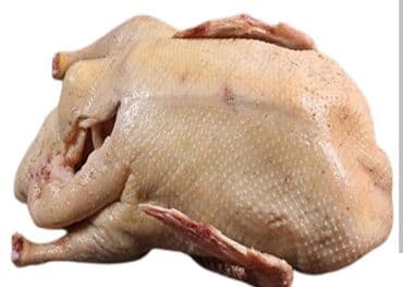 Salam.Bismillah deyərək halal yolla kəsilib təmizlənmiş lal ördək əti lalafo.az -da Salam.Bismillah deyərək halal yolla kəsilib təmizlənmiş lal ördək əti