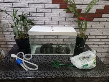 Dördbucaq akvarium, Boş, 30 l, Ödənişli çatdırılma lalafo.az -da Dördbucaq akvarium, Boş, 30 l, Ödənişli çatdırılma