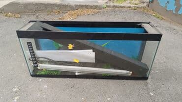 Tecili satilir 15 manat Ayna Sultanovaya yaxinlasib baxa bilersiz lalafo.az -da Tecili satilir 15 manat Ayna Sultanovaya yaxinlasib baxa bilersiz