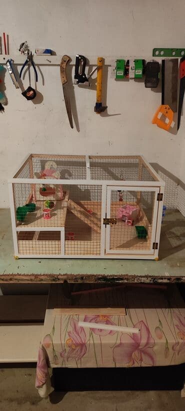 Yeni yığılıb dovşan,siçan,xomyak,hamster ve S ev heyvanları üçün lalafo.az -da Yeni yığılıb dovşan,siçan,xomyak,hamster ve S ev heyvanları üçün