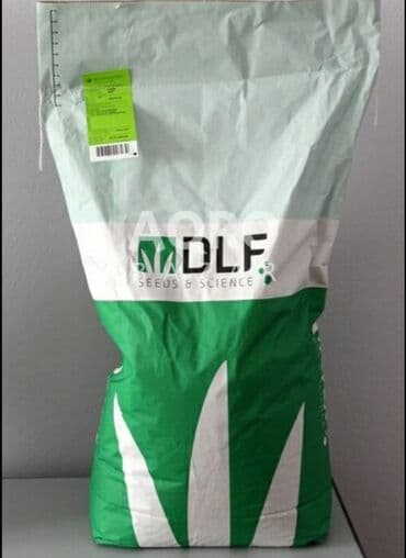 Qazon toxumu satisi lalafo.az -da Qazon toxumu satisi