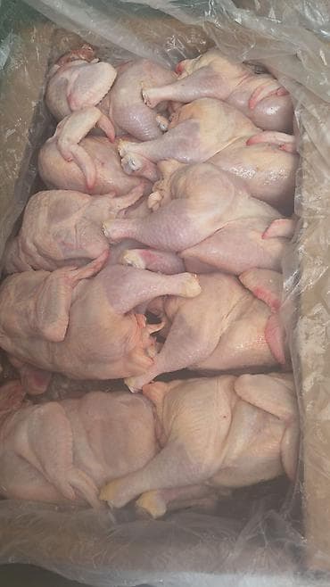 Toyuq və hissələri Gündəlik sveji məhsullarımız halal kəsimdir Hərgün lalafo.az -da Toyuq və hissələri Gündəlik sveji məhsullarımız halal kəsimdir Hərgün
