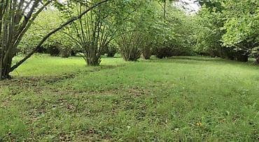 15 sot, Biznes üçün, Mülkiyyətçi, Kupça (Çıxarış) lalafo.az -da 15 sot, Biznes üçün, Mülkiyyətçi, Kupça (Çıxarış)