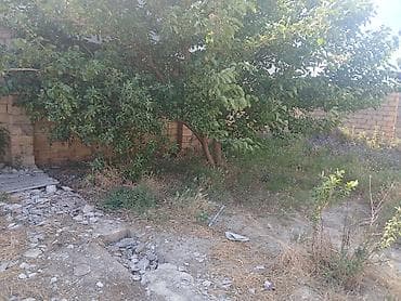 2 sot, Tikinti, Maklerlər narahat etməsin, Kupça (Çıxarış) lalafo.az -da 2 sot, Tikinti, Maklerlər narahat etməsin, Kupça (Çıxarış)