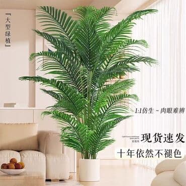 Bitki dərmanları: Böyük ölçülü dekorativ süni bitkilər – interyer üçün real görünüşlü lalafo.az -da — 2 Bitki dərmanları: Böyük ölçülü dekorativ süni bitkilər – interyer üçün real görünüşlü — 2