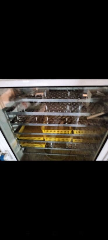 Доильные аппараты: Иран, Полностью автоматическая at lalafo.az — 7 Доильные аппараты: Иран, Полностью автоматическая — 7