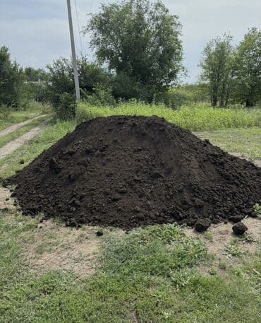 Qara Torpaq Və Peyin Torpaq Satışı: Kənd təsərrüfatı, bağçılıq və ya lalafo.az -da Qara Torpaq Və Peyin Torpaq Satışı: Kənd təsərrüfatı, bağçılıq və ya