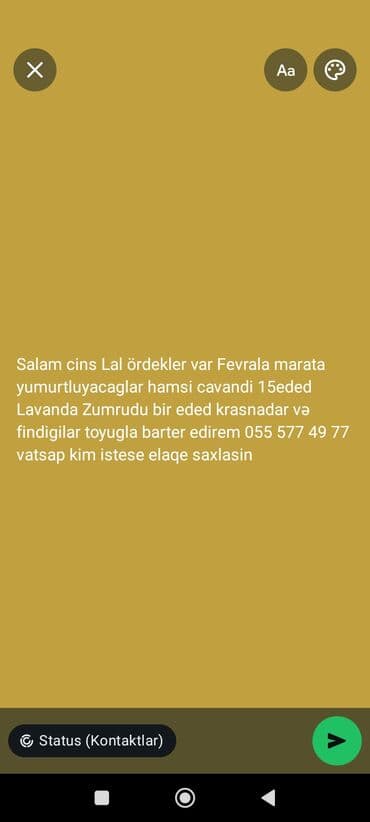 Məhsul: Lal ördəklər və dekorativ toyuqlar Təsvir: - Cins lal lalafo.az -da Məhsul: Lal ördəklər və dekorativ toyuqlar Təsvir: - Cins lal