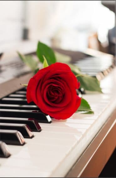 Repetitor, Rus dili, Azərbaycan dili, Abituriyent hazırlığı lalafo.az -da Repetitor, Rus dili, Azərbaycan dili, Abituriyent hazırlığı