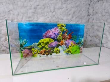 Akvarium-şkaf, Boş, 30 l, Ödənişli çatdırılma lalafo.az -da Akvarium-şkaf, Boş, 30 l, Ödənişli çatdırılma