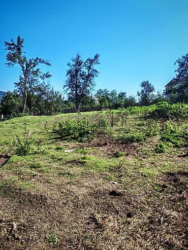 Qusar Xuray kəndində 4.5 sot torpaq satılır qiymet sotu 6500 lalafo.az -da Qusar Xuray kəndində 4.5 sot torpaq satılır qiymet sotu 6500