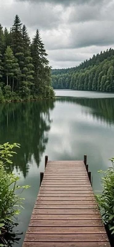 Пунктуальный, и очень ответственный мужчина 55 лет ищет вакансию на lalafo.az -da Пунктуальный, и очень ответственный мужчина 55 лет ищет вакансию на