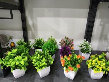 Süni dekorativ otaq bitkiləri – müxtəlif növ və rənglərdə at lalafo.az Süni dekorativ otaq bitkiləri – müxtəlif növ və rənglərdə