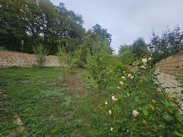 Qusar, 110 kv. m, 3 otaqlı, Kombi, Qaz, İşıq lalafo.az -da Qusar, 110 kv. m, 3 otaqlı, Kombi, Qaz, İşıq