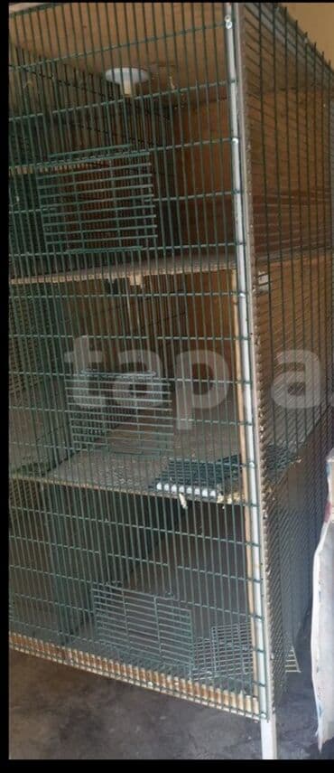 Лекарства для животных: 6 gözlü qəfəs satılır.Hər gözü 60×80 sm-dir.Setkası qalındır.Arxası və at lalafo.az — 2 Лекарства для животных: 6 gözlü qəfəs satılır.Hər gözü 60×80 sm-dir.Setkası qalındır.Arxası və — 2