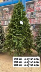 Yeni il yolkası, bəzək üçün uyğundur. Keyfiyyətli, sıx budaqlı və lalafo.az -da Yeni il yolkası, bəzək üçün uyğundur. Keyfiyyətli, sıx budaqlı və