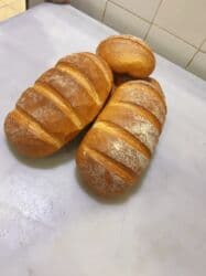 Kənd təsərrüfatı: Çörəkçi, Kişi, 25 il, 3-5 illik təcrübə lalafo.az -da — 1 Kənd təsərrüfatı: Çörəkçi, Kişi, 25 il, 3-5 illik təcrübə — 1