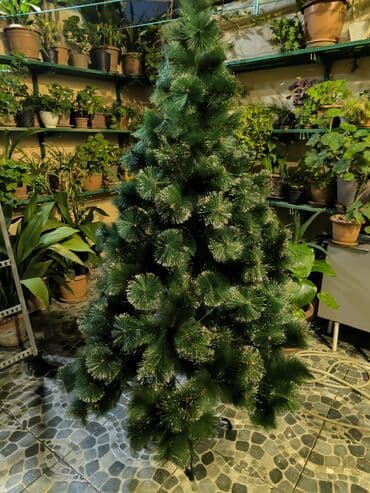 Süni şam ağacı üstündə oyuncaqlarda verilir. Yolkanın hündürlüyü 1.80 lalafo.az -da Süni şam ağacı üstündə oyuncaqlarda verilir. Yolkanın hündürlüyü 1.80