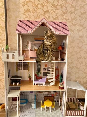 Продам большой кукольный домик 🏠✨ 3 этажа, с мебелью. Очень красивый и lalafo.az -da Продам большой кукольный домик 🏠✨ 3 этажа, с мебелью. Очень красивый и