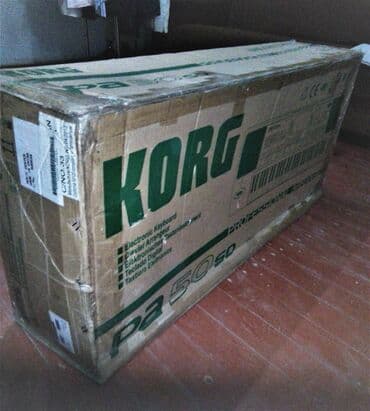 Fleytalar: Sintezator, Korg, Yeni, Pulsuz çatdırılma lalafo.az -da — 4 Fleytalar: Sintezator, Korg, Yeni, Pulsuz çatdırılma — 4