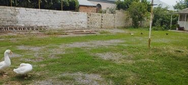 Гаражи: 5 соток, Для строительства, Собственник, Купчая at lalafo.az — 1 Гаражи: 5 соток, Для строительства, Собственник, Купчая — 1