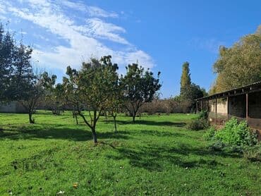 Kənd təsərrüfatı lalafo.az -da Kənd təsərrüfatı