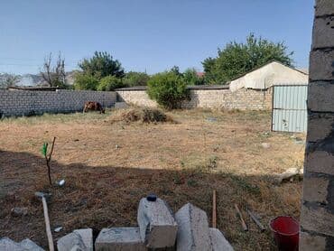 5 sot, Mülkiyyətçi, Kupça (Çıxarış) lalafo.az -da — 4 5 sot, Mülkiyyətçi, Kupça (Çıxarış) — 4