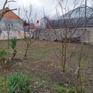 4 sot, Tikinti, Mülkiyyətçi, Kupça (Çıxarış) lalafo.az -da 4 sot, Tikinti, Mülkiyyətçi, Kupça (Çıxarış)