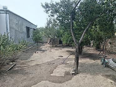 Həyətyanı ev – 4 sotdadı - Təkmərtəbəli fərdi yaşayış evi, dəmir lalafo.az -da Həyətyanı ev – 4 sotdadı - Təkmərtəbəli fərdi yaşayış evi, dəmir