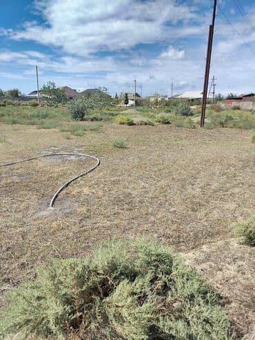 30 sot, Kənd təsərrüfatı, Mülkiyyətçi, Bələdiyyə lalafo.az -da 30 sot, Kənd təsərrüfatı, Mülkiyyətçi, Bələdiyyə