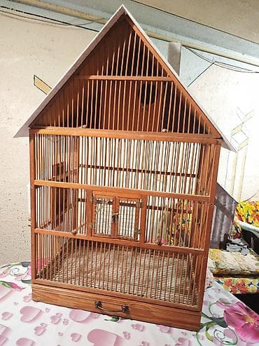 Taxta quş qəfəsi – ev formasında dizayn - Material: təbii ağac və lalafo.az -da Taxta quş qəfəsi – ev formasında dizayn - Material: təbii ağac və