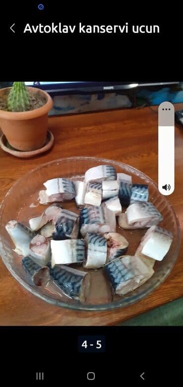 Qayçılar: Avtoklav konservi ucun baseti toyuq, baliq .murebbe vesair lalafo.az -da — 5 Qayçılar: Avtoklav konservi ucun baseti toyuq, baliq .murebbe vesair — 5