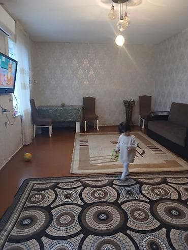 Tecili satilir. Bine qesebesi kipsi zavodunun yanı. Şehid küçesi lalafo.az -da Tecili satilir. Bine qesebesi kipsi zavodunun yanı. Şehid küçesi