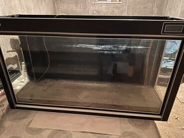 Boyu akvarium dəsti - Akvarium: böyük ölçülü, şüşə korpus, qara lalafo.az -da Boyu akvarium dəsti - Akvarium: böyük ölçülü, şüşə korpus, qara