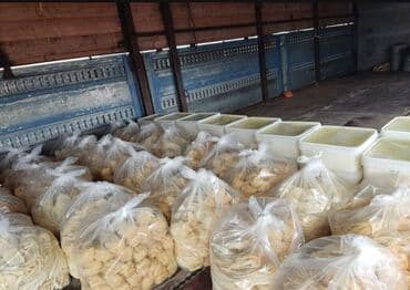 Təzə süd məhsulları – duzlu pendir və pendir şorunda - Çeşidlər: südə lalafo.az -da Təzə süd məhsulları – duzlu pendir və pendir şorunda - Çeşidlər: südə