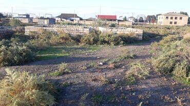 Saatlida lalafo.az -da Saatlida