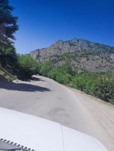 Ландшафтные работы: Kupcalı 41 sot torpaq 20 sotda satilir at lalafo.az — 5 Ландшафтные работы: Kupcalı 41 sot torpaq 20 sotda satilir — 5