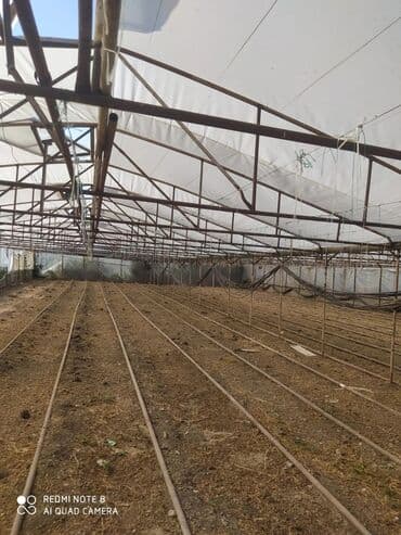 Теплицы: Sera (istixana) konstrukiyası və dam örtüyü - Metal karkaslı at lalafo.az — 4 Теплицы: Sera (istixana) konstrukiyası və dam örtüyü - Metal karkaslı — 4