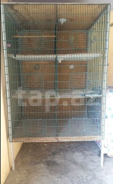 Лекарства для животных: 6 gözlü qəfəs satılır.Hər gözü 60×80 sm-dir.Setkası qalındır.Arxası və at lalafo.az — 1 Лекарства для животных: 6 gözlü qəfəs satılır.Hər gözü 60×80 sm-dir.Setkası qalındır.Arxası və — 1