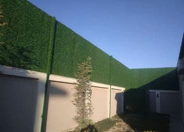 Yasil hasarlarin ve suniqazonarin topdan ve perekende satisi endirimer lalafo.az -da Yasil hasarlarin ve suniqazonarin topdan ve perekende satisi endirimer