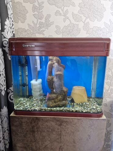 Akvarium zavod istesalidi ustunde verilir su qizdirici +qrunt+su lalafo.az -da Akvarium zavod istesalidi ustunde verilir su qizdirici +qrunt+su