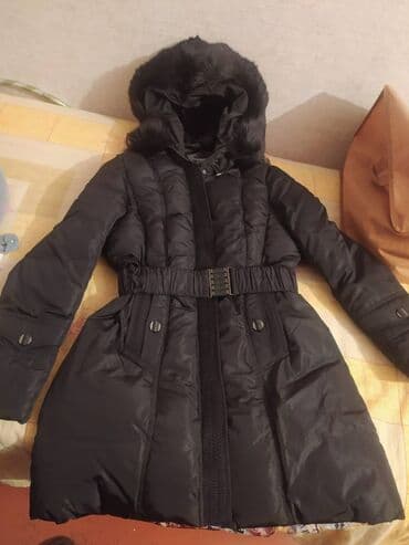 Yenidir papagindaki tuk cixarilib taxila bilir lalafo.az -da Yenidir papagindaki tuk cixarilib taxila bilir