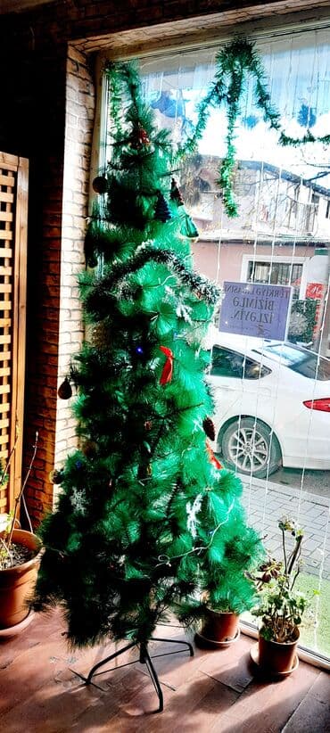 Hündürlüyü 1.80sm.Rahat quraşdırıla bilen.Yolka ağacı tecili lalafo.az -da Hündürlüyü 1.80sm.Rahat quraşdırıla bilen.Yolka ağacı tecili