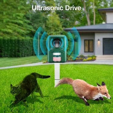 sican: Yeni, Rayonlara çatdırılma, Ünvandan götürmə, Ödənişli çatdırılma lalafo.az -da — 1 sican: Yeni, Rayonlara çatdırılma, Ünvandan götürmə, Ödənişli çatdırılma — 1